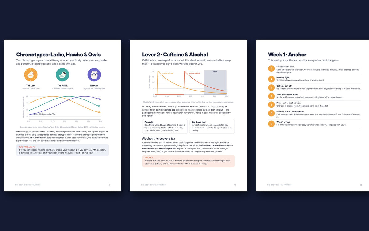 Sample pages: chronotypes, caffeine and the 21-day reset